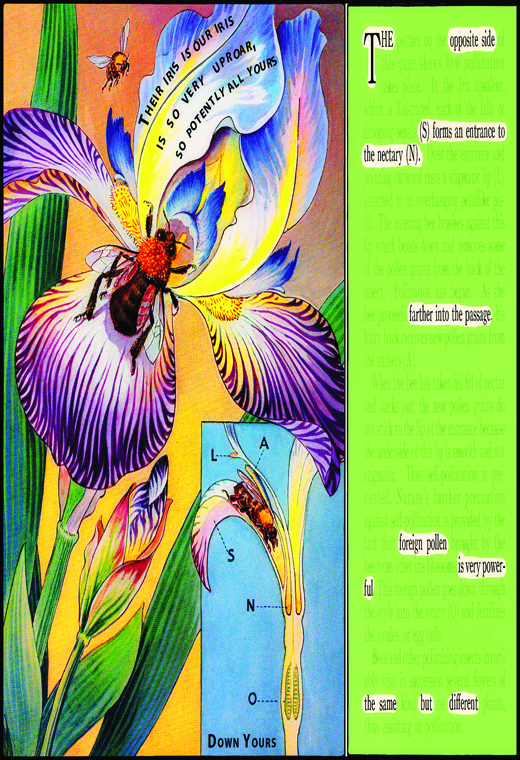 Pollination